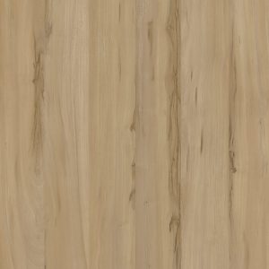 TW8 3721 IM GOUDA ELM scaled 1.jpg