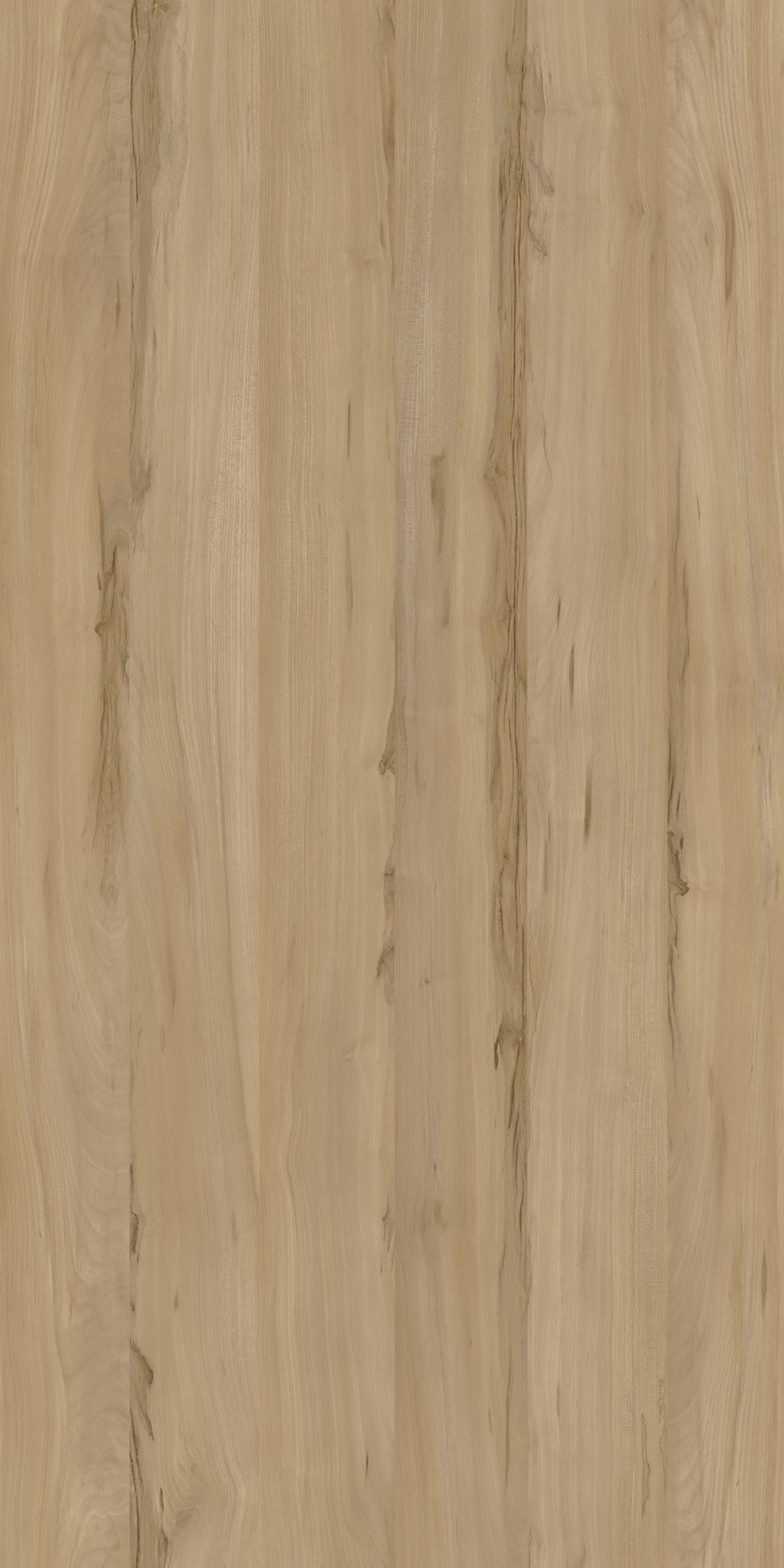 TW8 3721 IM GOUDA ELM scaled 1.jpg