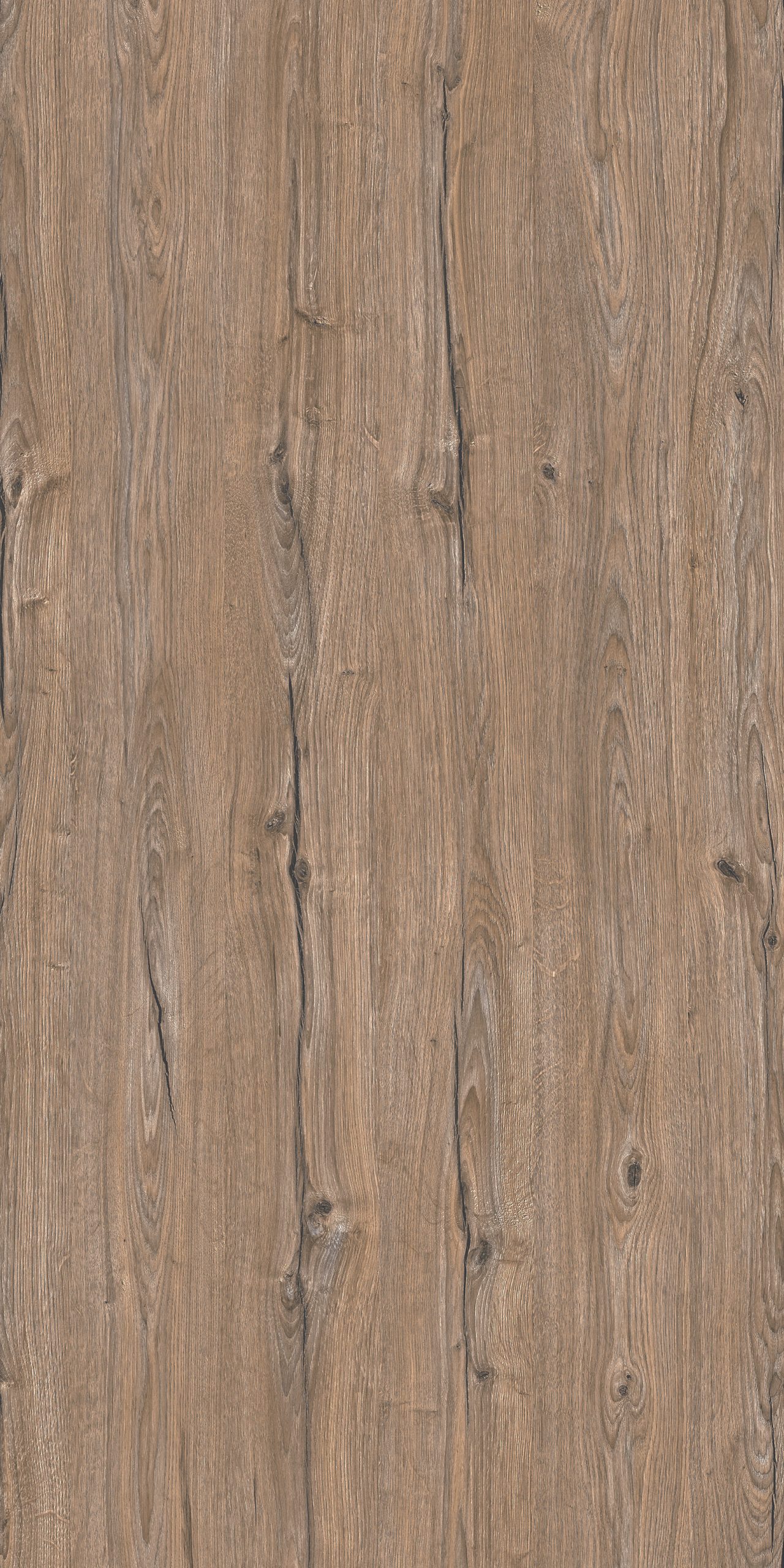 TW8 3726 SE TORONTO OAK n scaled 1.jpg