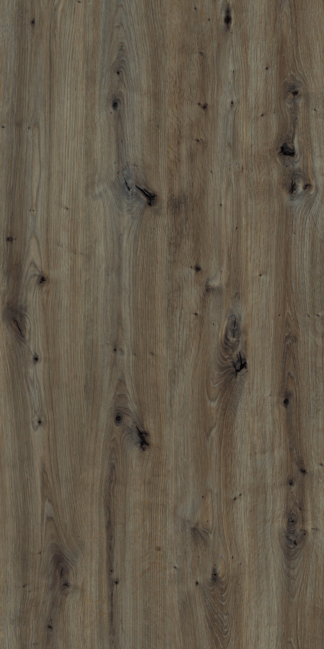 TW8 3728 JW SALVADOR OAK scaled 1.jpg