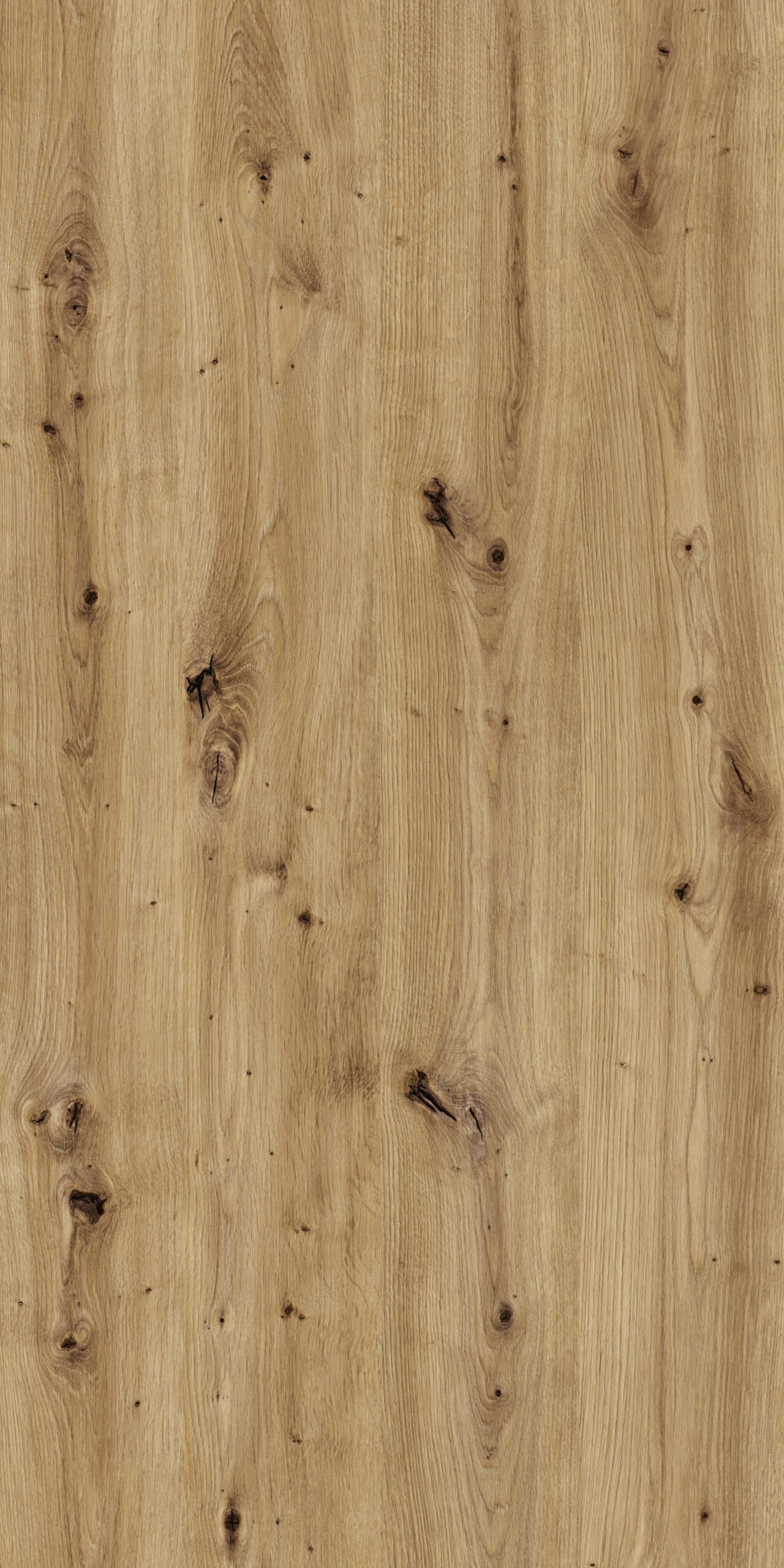 TW8 3729 JW PALMAS OAK scaled 1.jpg