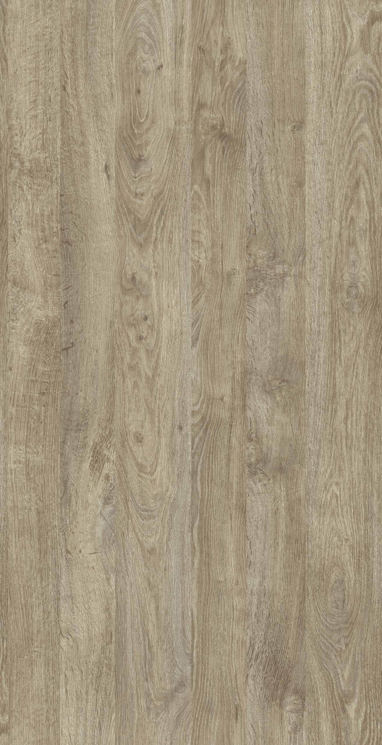 TW8 3736 JW CASTRO OAK scaled 1.jpg