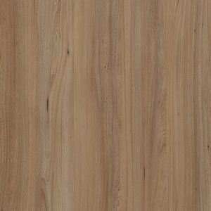 TW8 3779 IM LOWA ELM.jpg