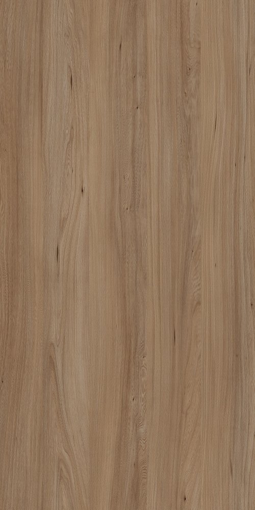 TW8 3779 IM LOWA ELM.jpg