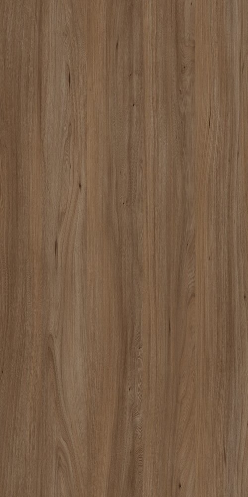 TW8 3781 IM ZENICA ELM.jpg