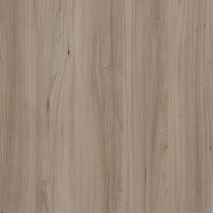 TW8 3785 IM MISSOURI ELM.jpg