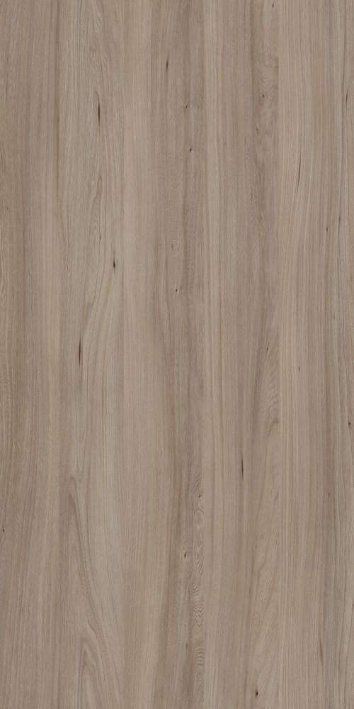 TW8 3785 IM MISSOURI ELM.jpg