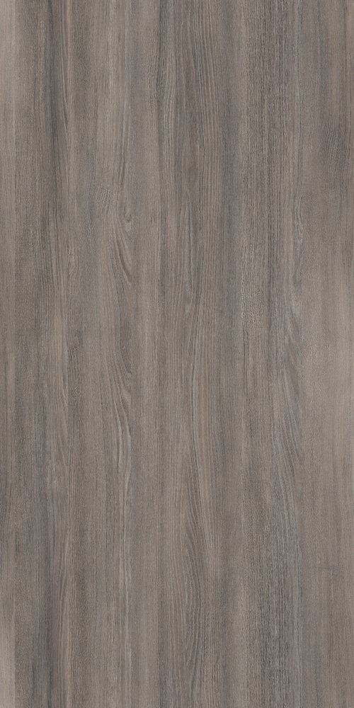 TW8 3786 VF ERFURT ACACIA.jpg