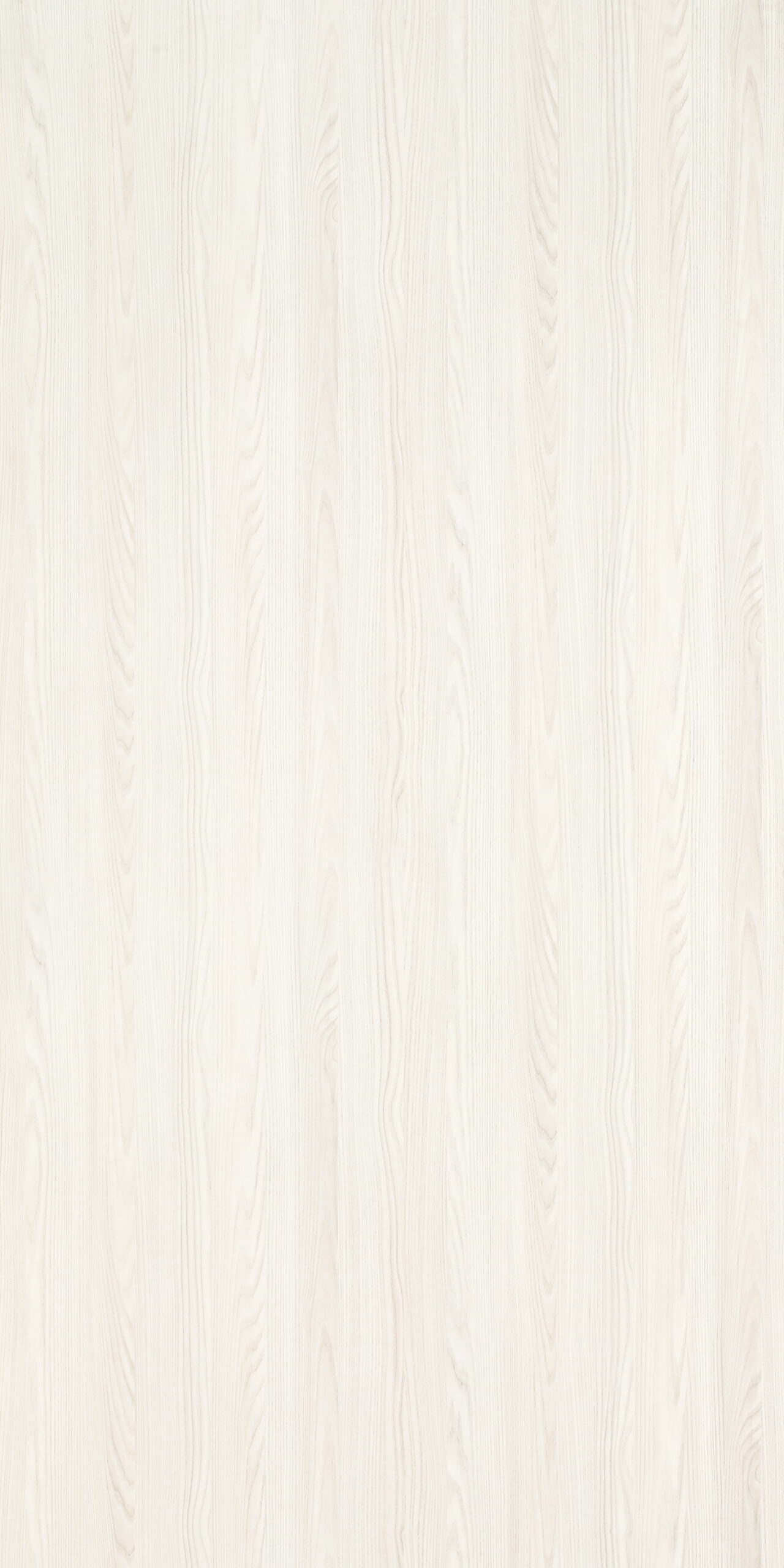 TW9 365720S PALESTINE20ASH.jpg