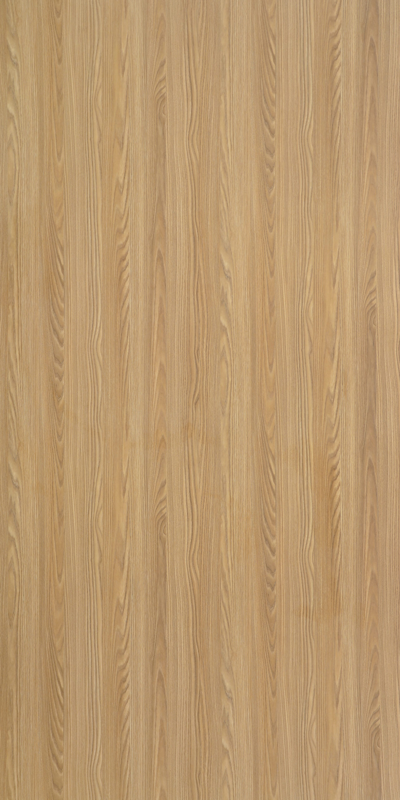 TW9 365820S BOLIVIA20ASH.jpg