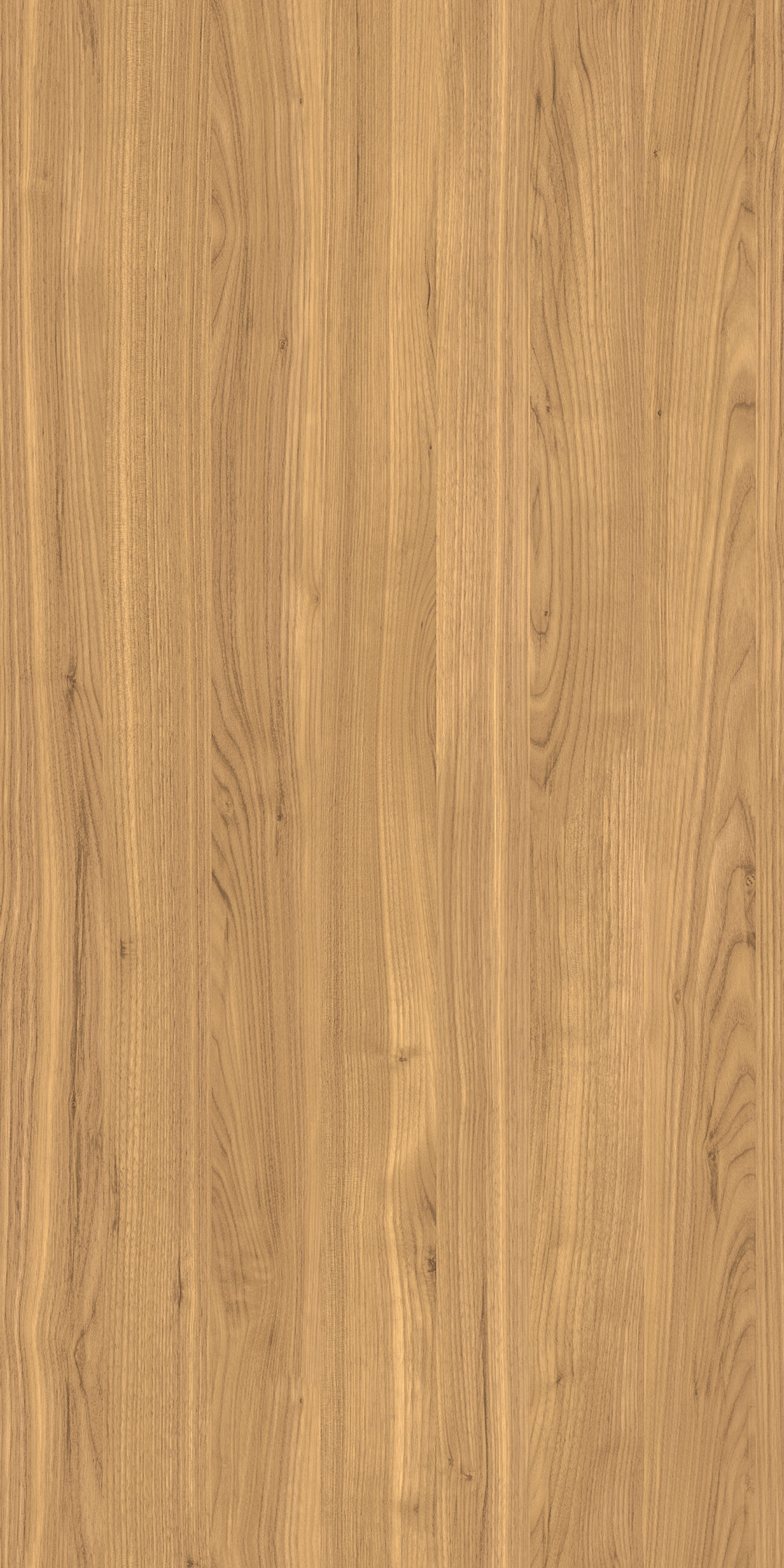 TW9 367920S ANTELOPE20WALNUT.jpg