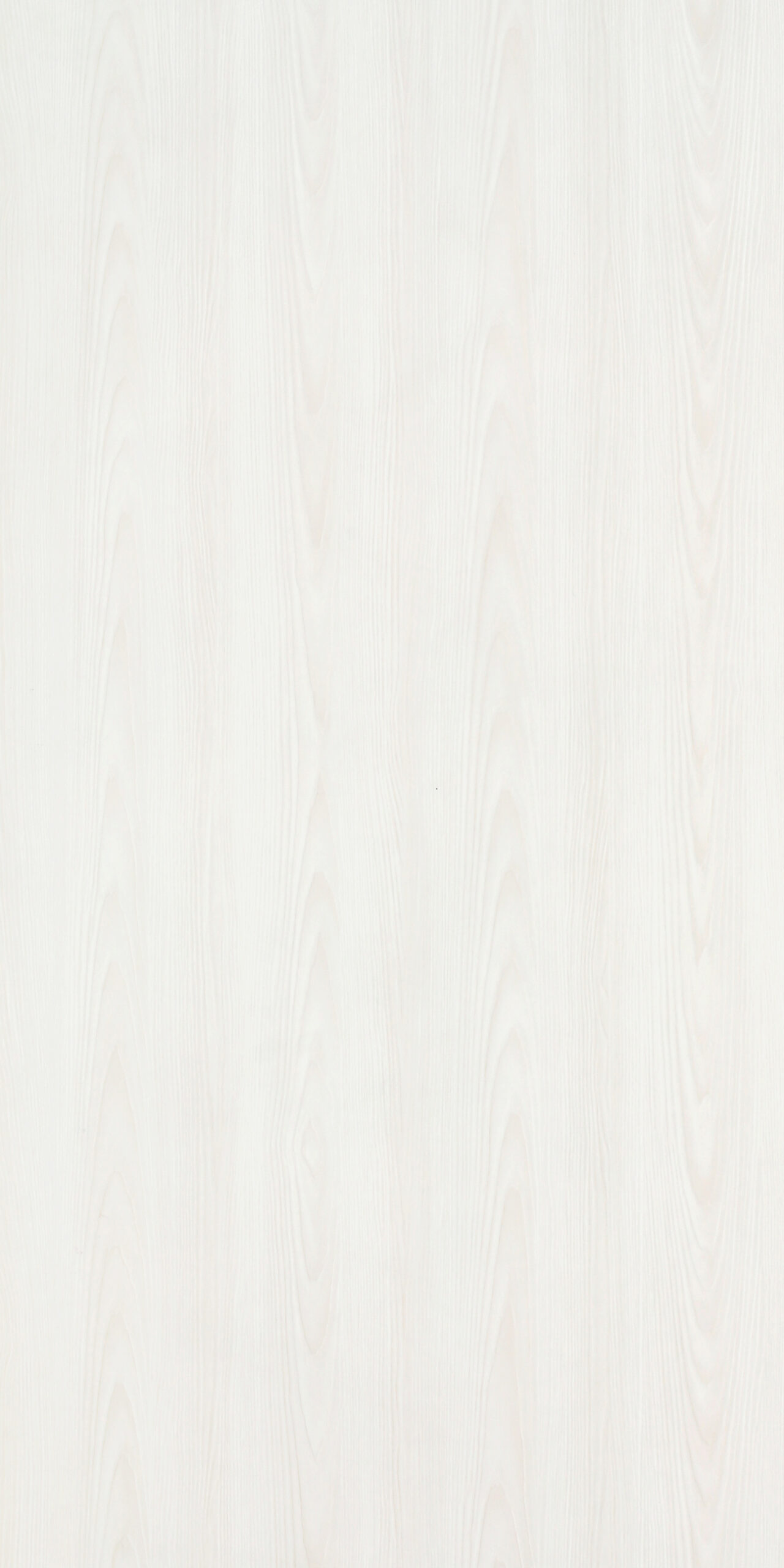 TW9 368720S NEWCASTLE20ASH.jpg