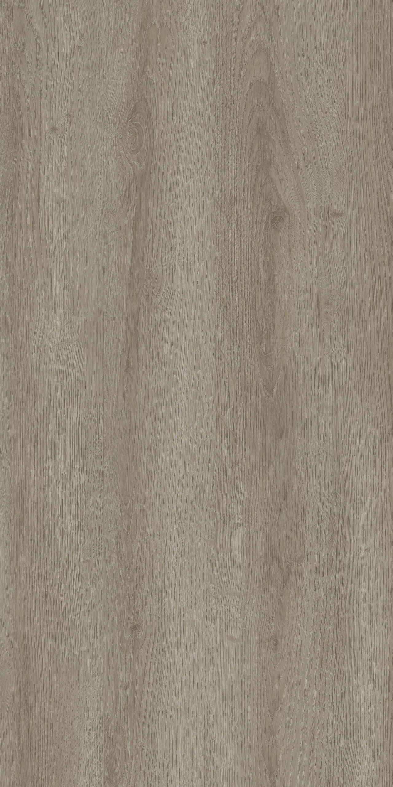 TW9 376620S BORISOV20OAK.jpg