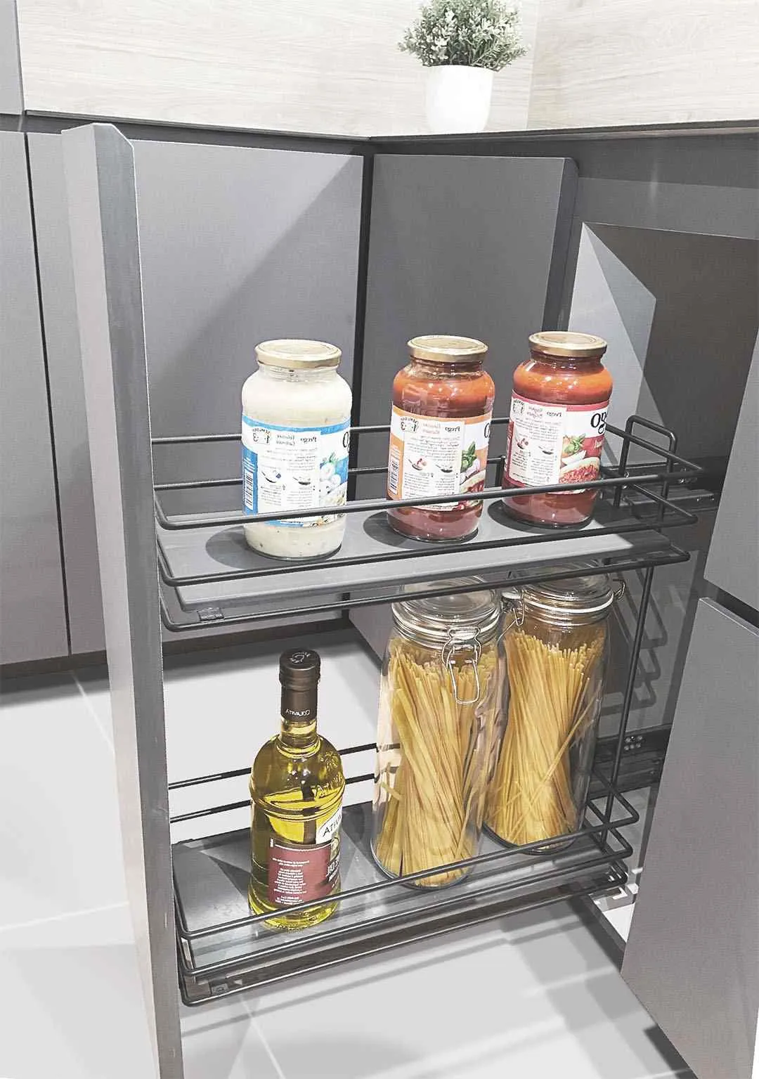 S 2493 ALEFT 01 1.webp