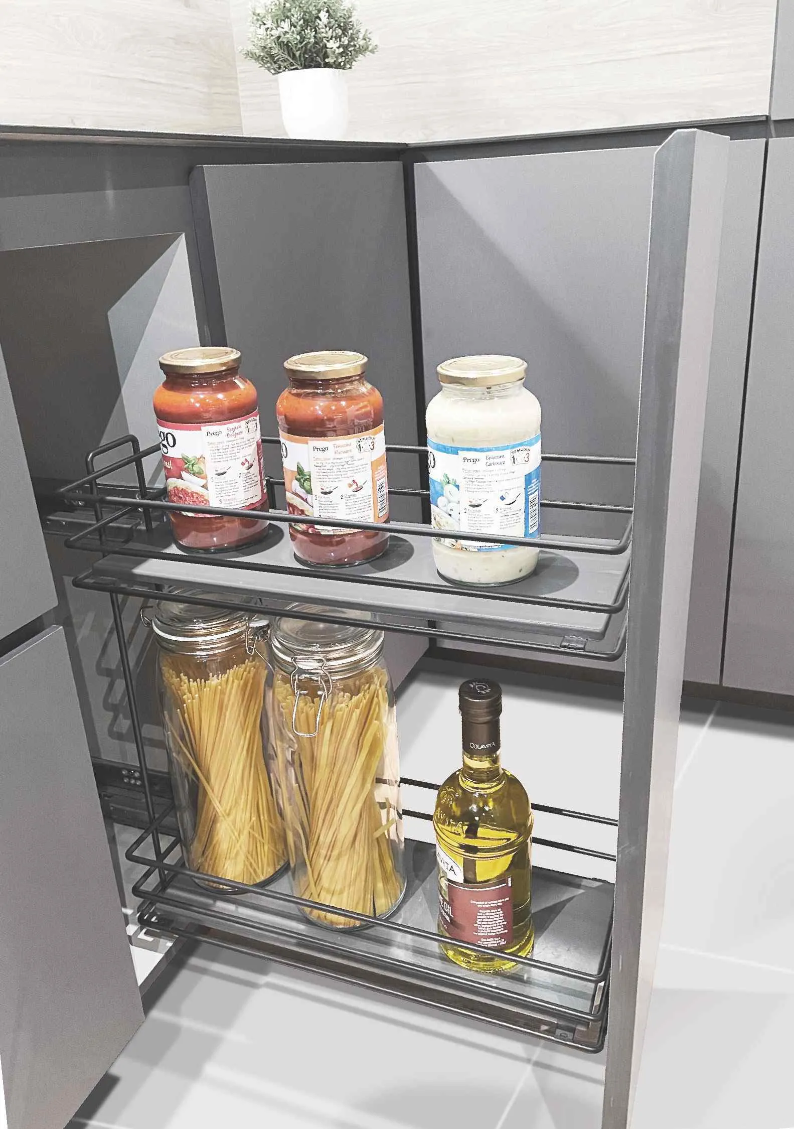 S 2494 ARIGHT 01 1.webp