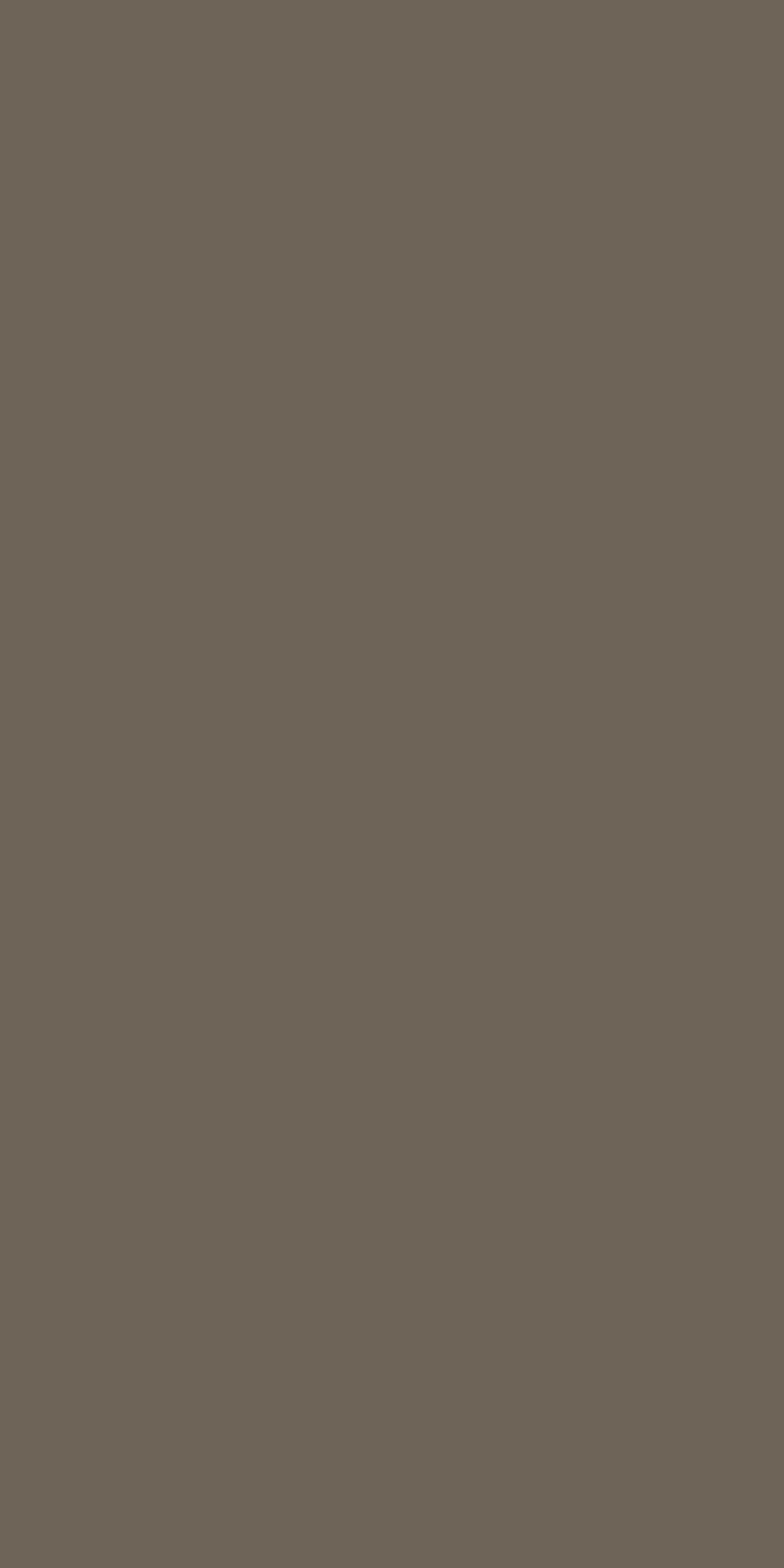 TOPMIX MFC 1021NL.jpg