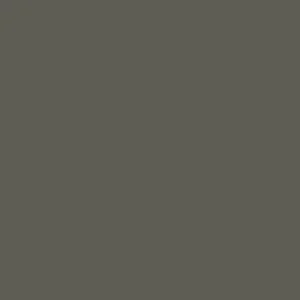 TS10 5010720FM20SAND20BROWN.webp