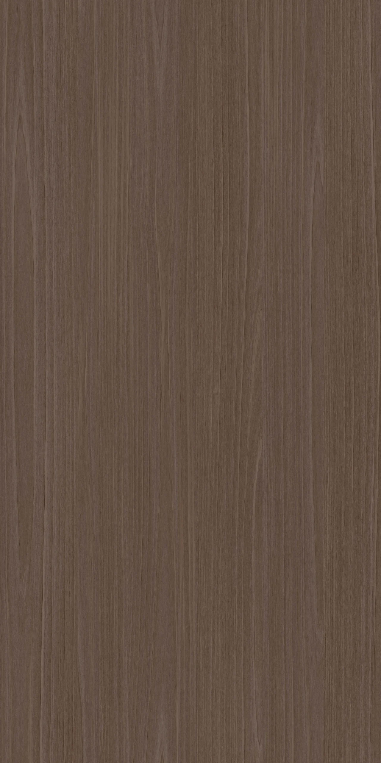 TW10 53039 COMO20BASSWOOD.webp