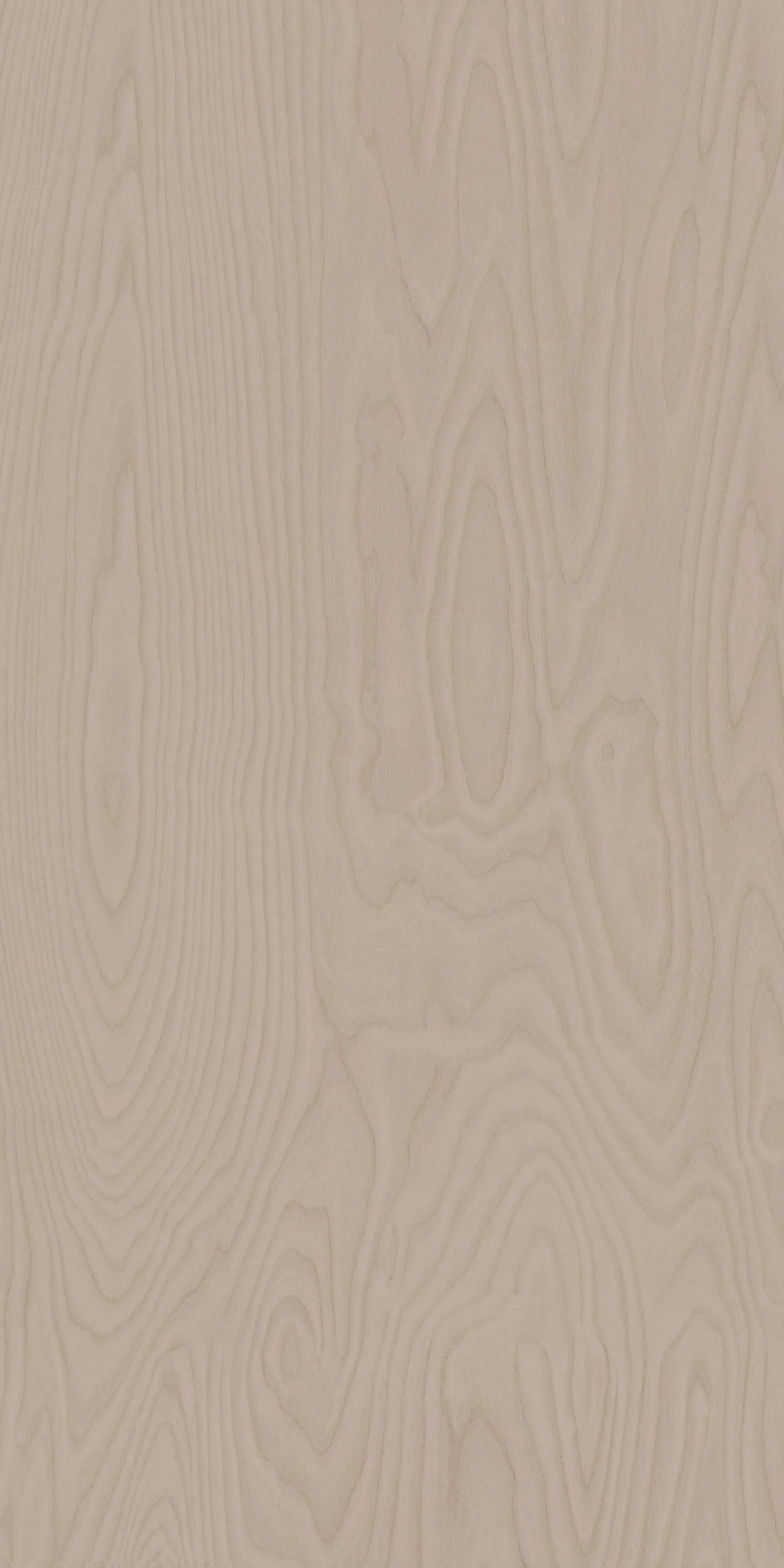 TW10 5305120M BLID20BIRCH.webp