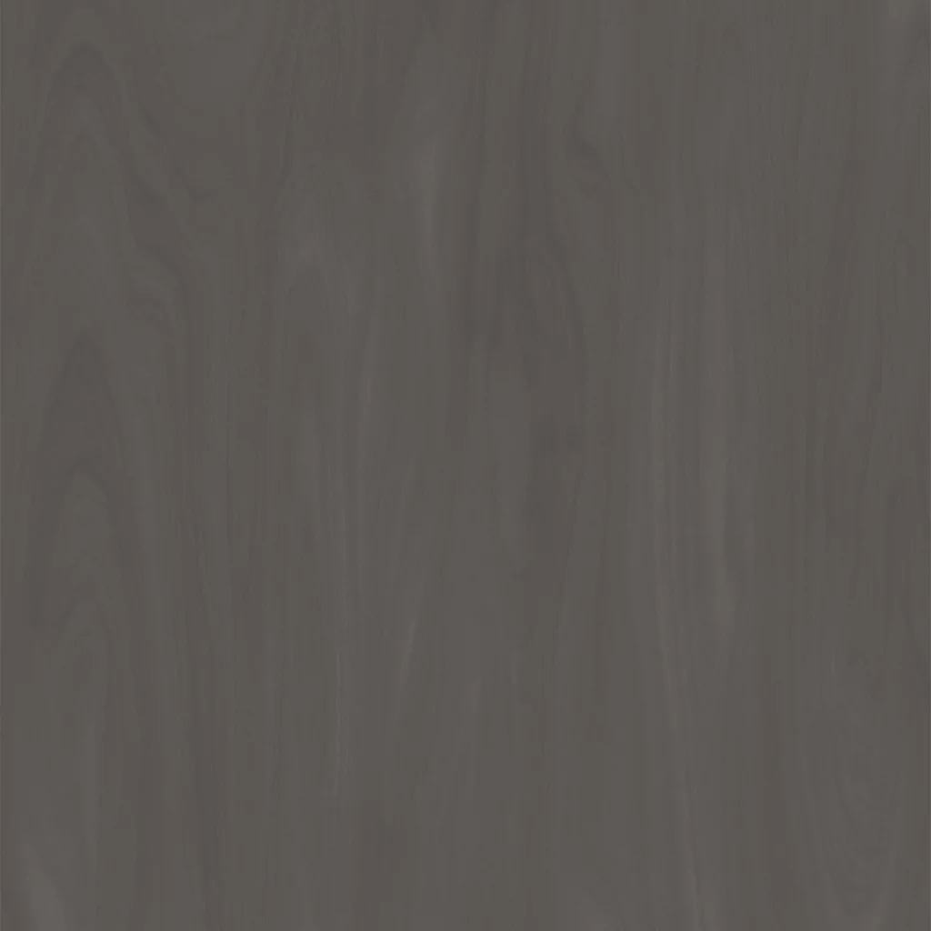 TW10 5305220M TITANIUM20BIRCH.webp