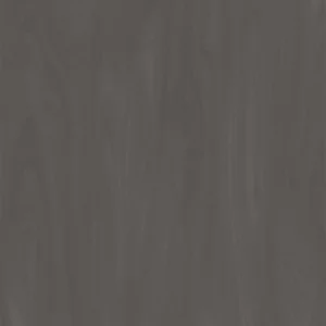 TW10 5305220M TITANIUM20BIRCH.webp