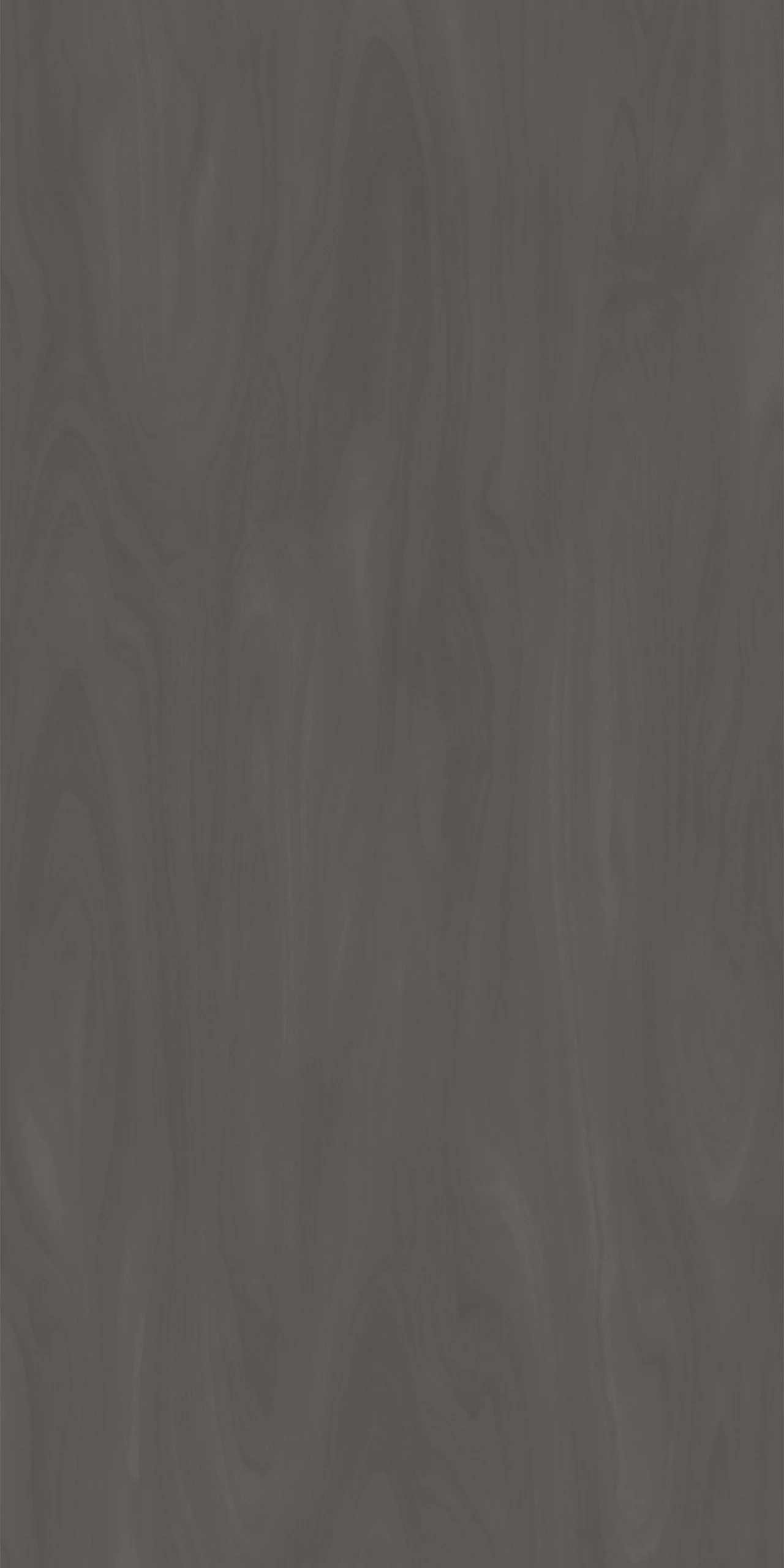 TW10 5305220M TITANIUM20BIRCH.webp