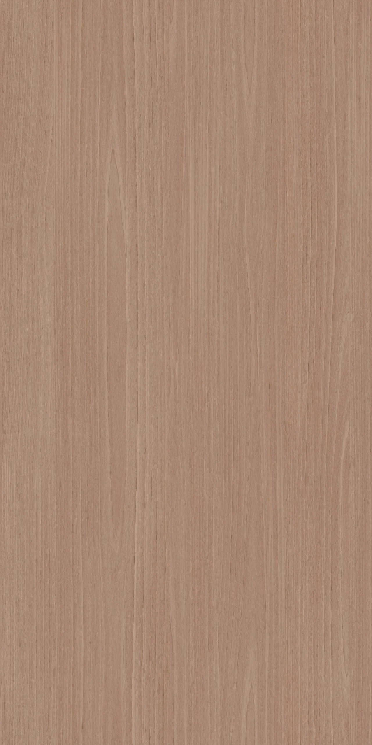 TW10 5305320VW20LUCCA20BASSWOOD.webp