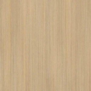 TW10 5390220IM AARUS20OAK.webp