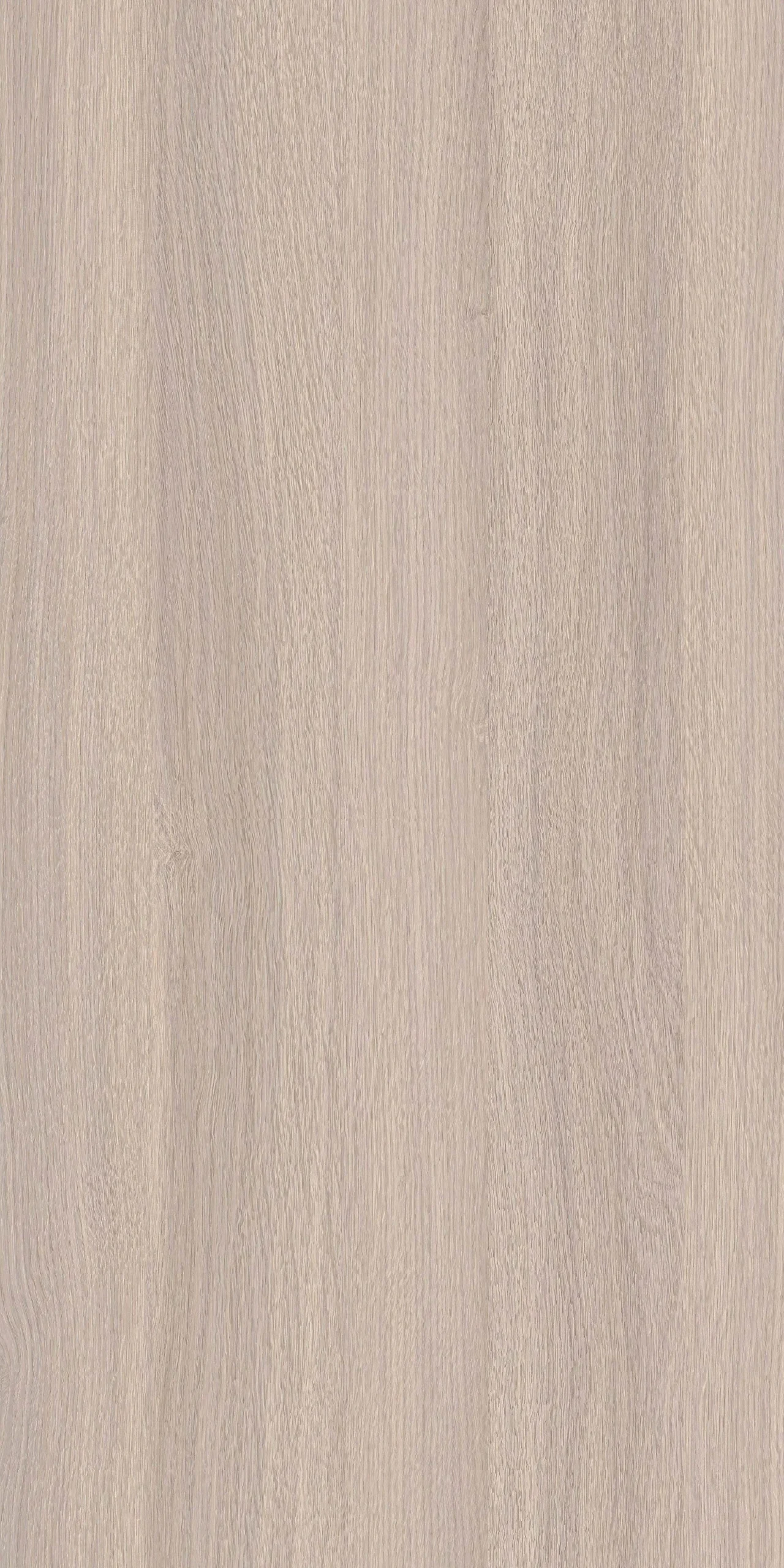 TW2 1369 BERGEN20OAK.webp