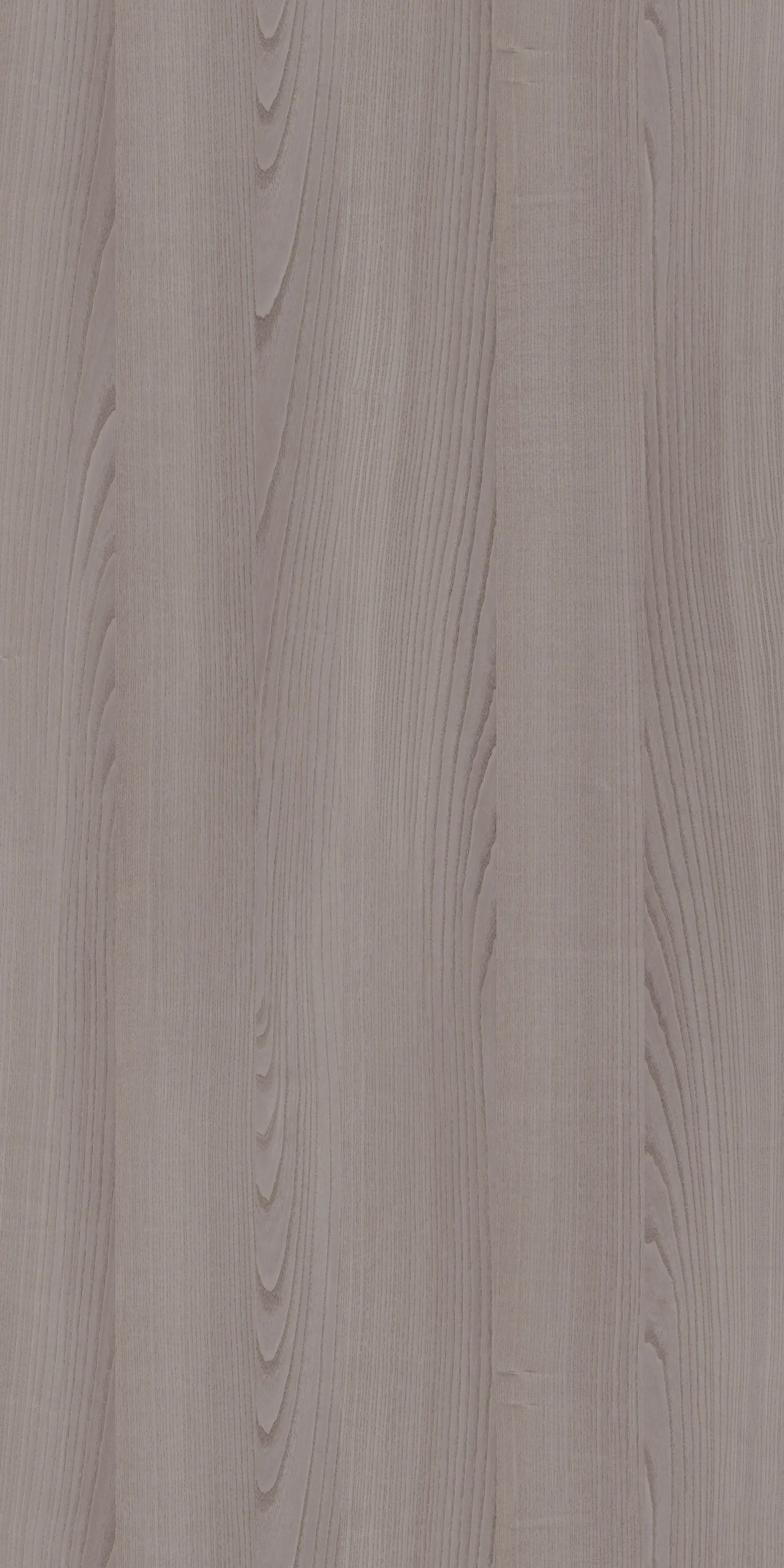 TW2 1372 BURGES20ASH.webp