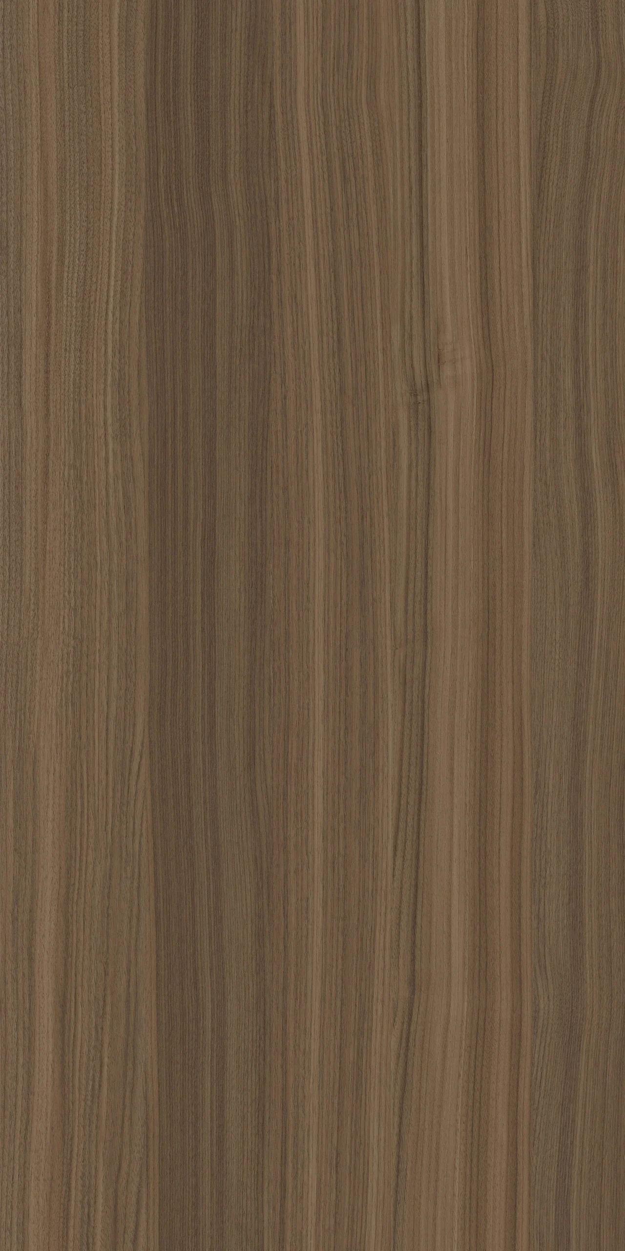 TW2 1373 TURIN20WALNUT.webp