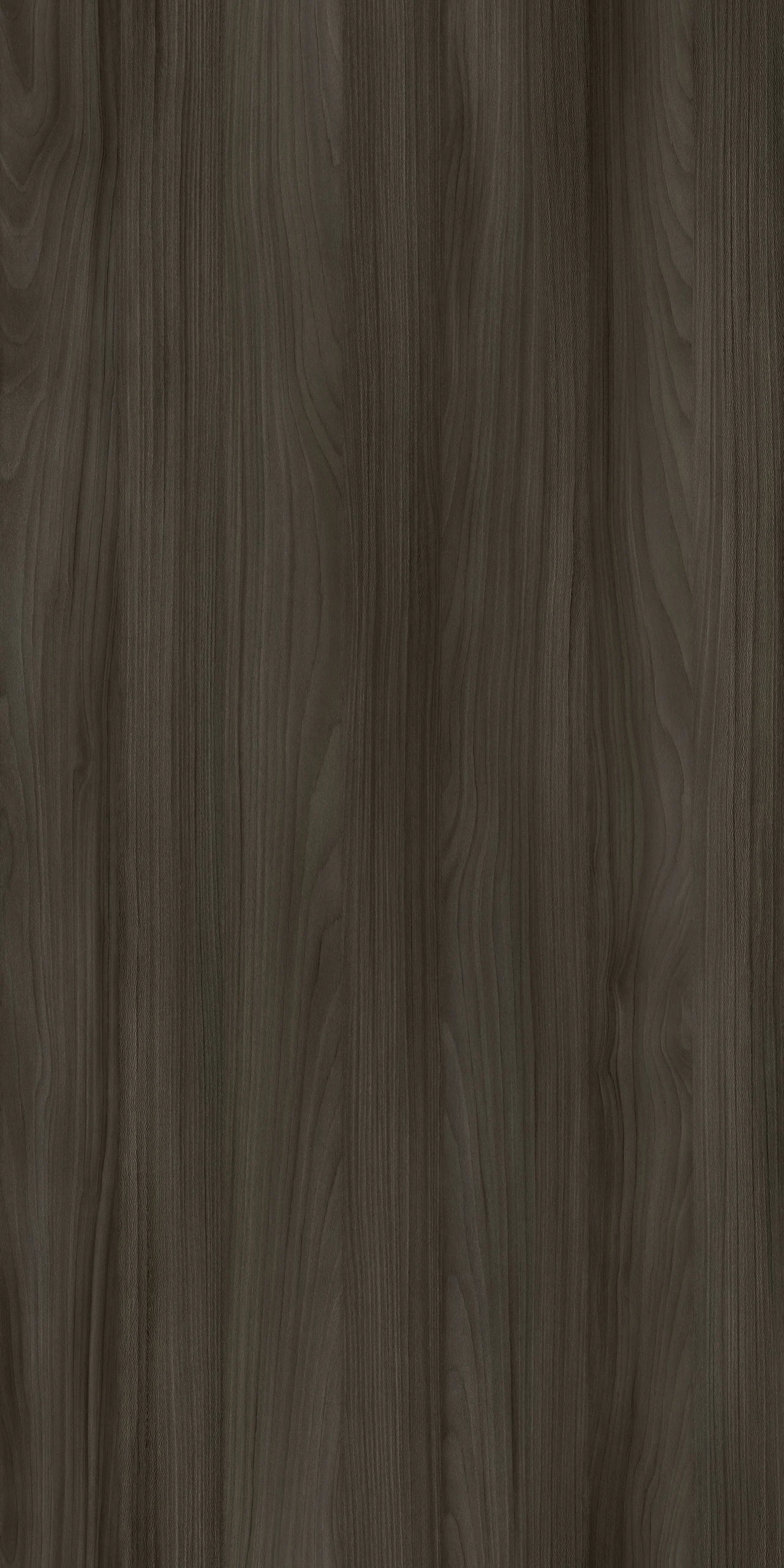 TW8 391120JW UMBRA20BEECH.webp