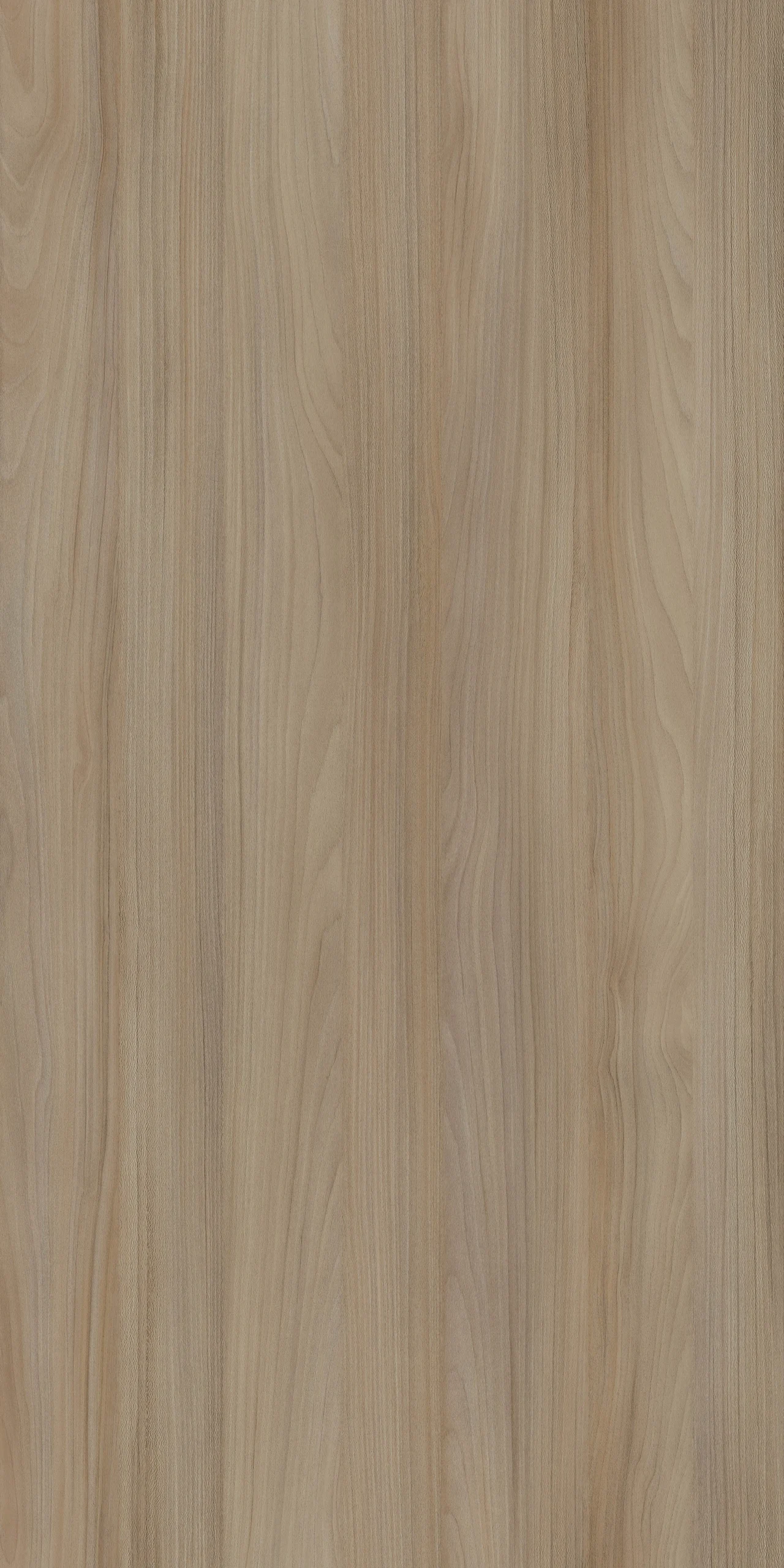 TW8 391220JW AMBER20BEECH.webp