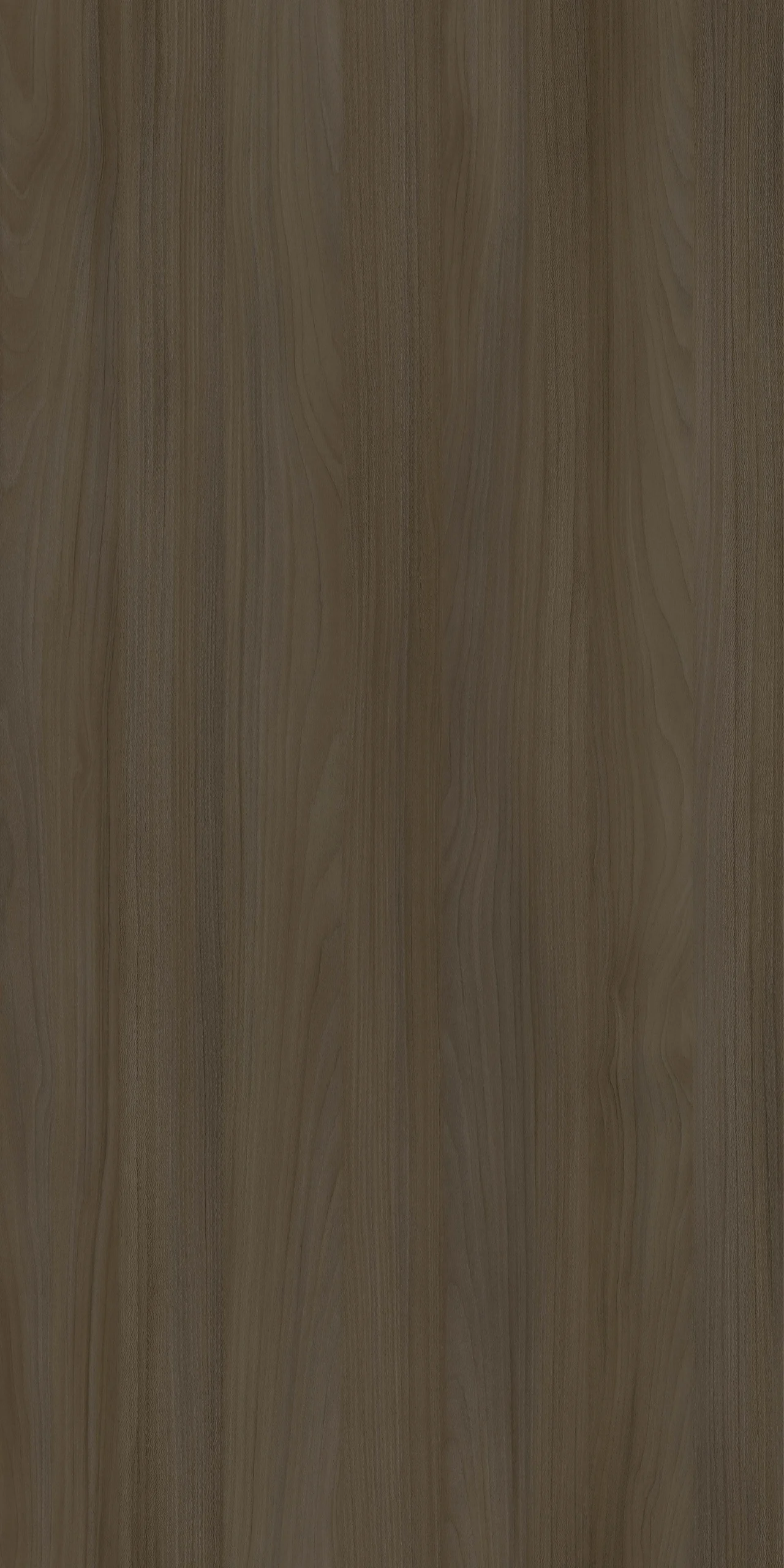 TW8 391820JW MARRON20BEECH.webp