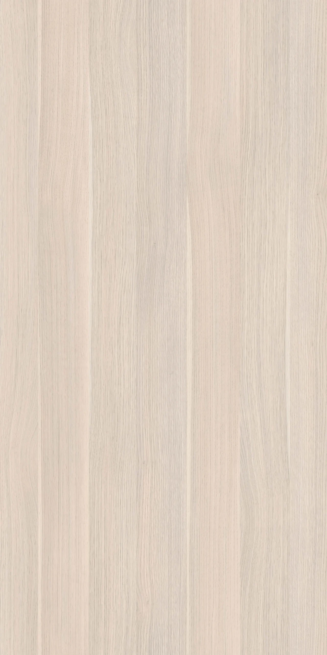 TW8 392020VM BERN20OAK.webp