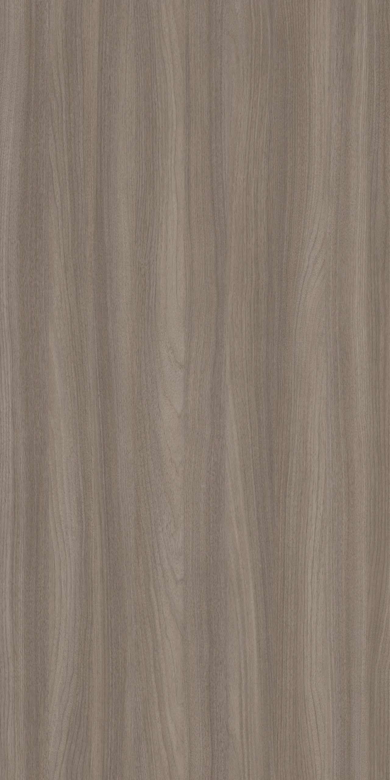 TW8 392320NT GOREY20NOGAL.webp