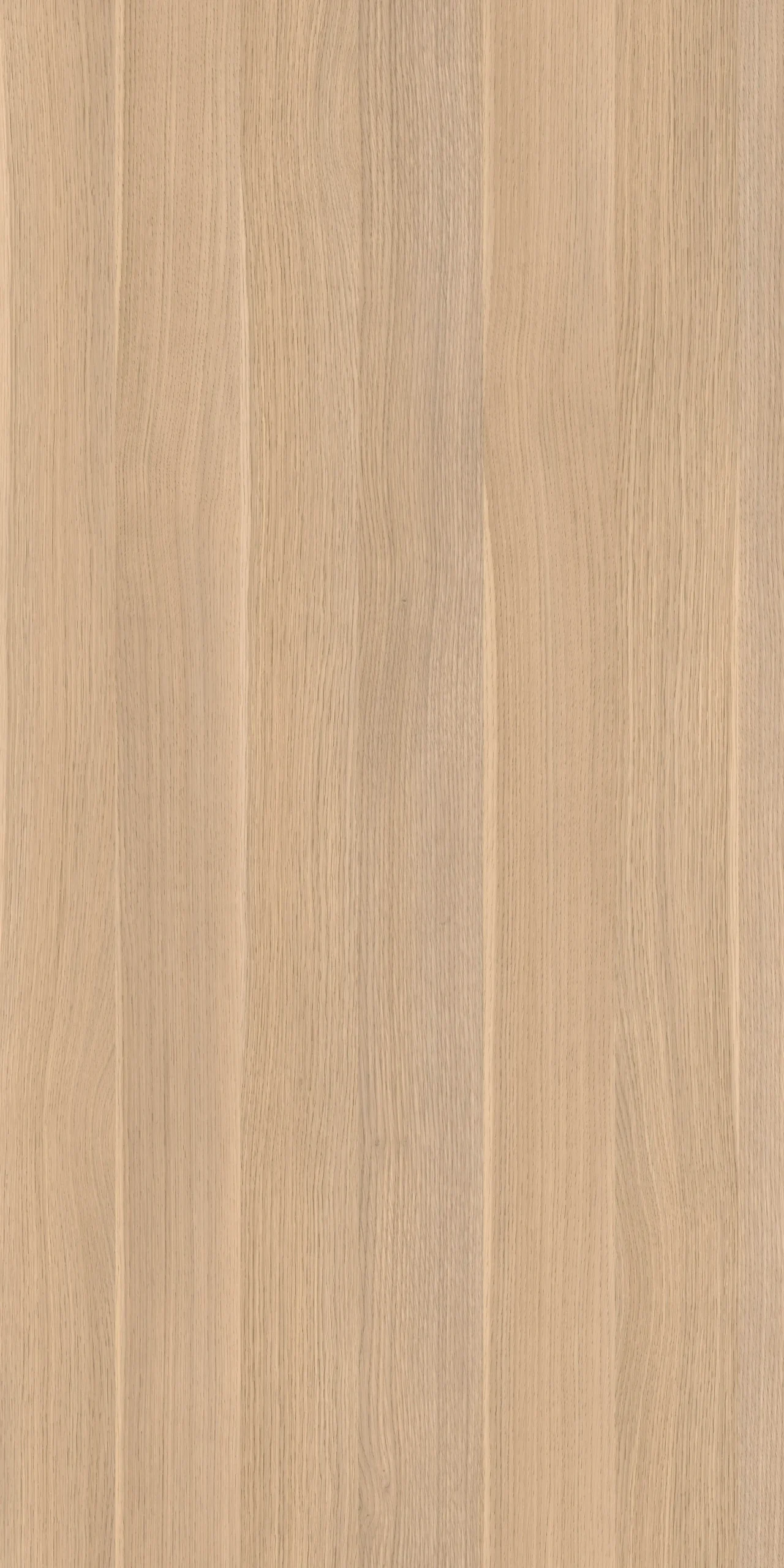 TW8 392720VM LUCERNE20OAK.webp