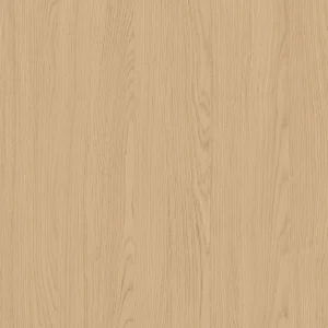 TW9 390620S20LUMIERE20ASH.webp