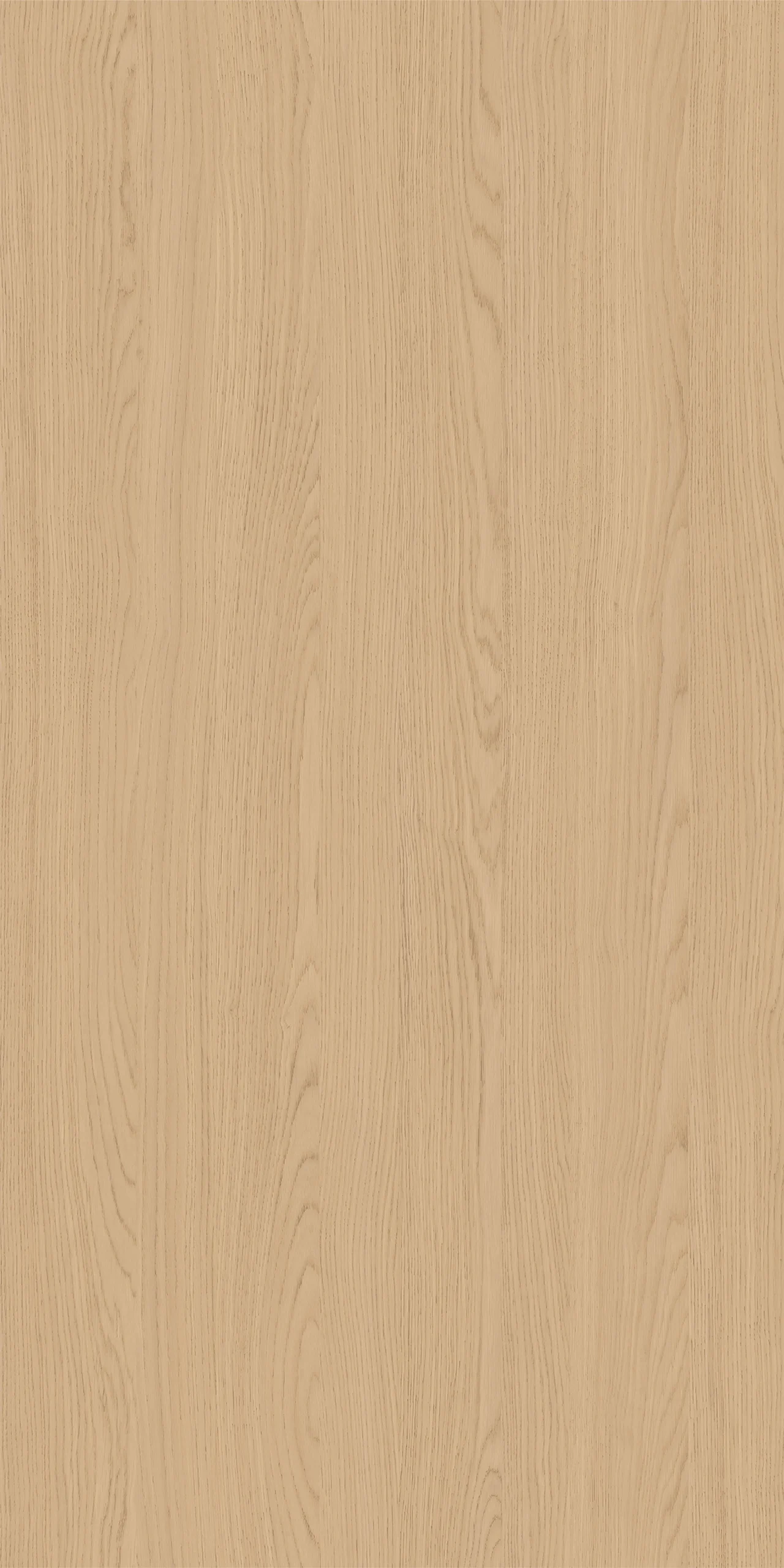 TW9 390620S20LUMIERE20ASH.webp