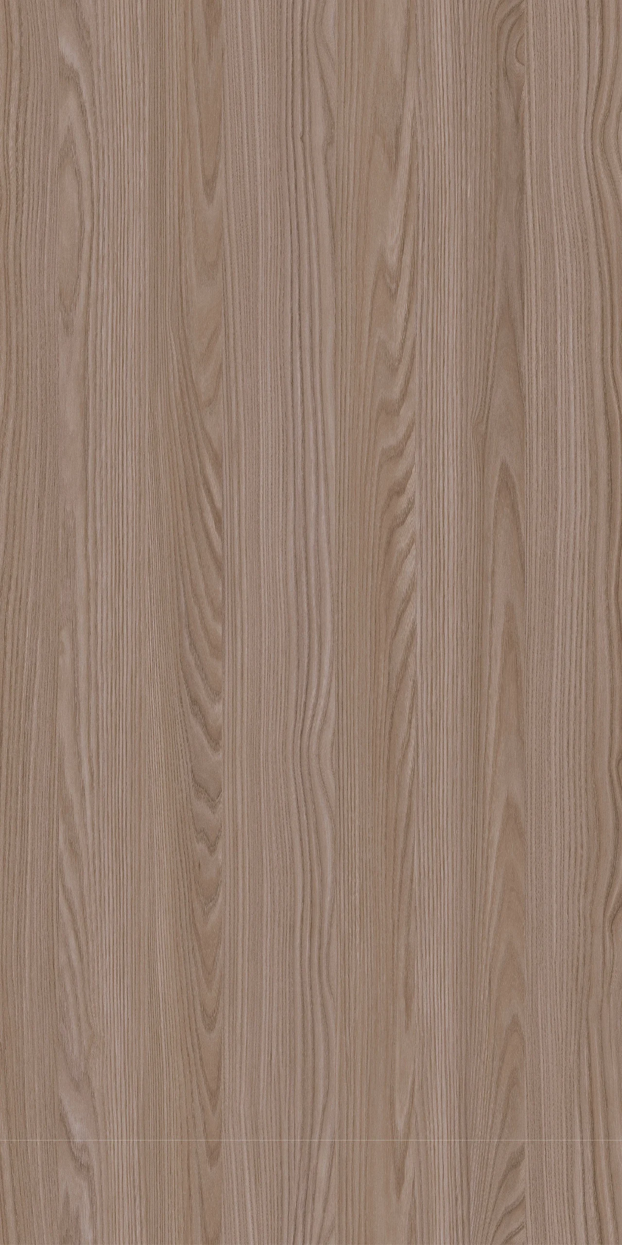 TW9 391020S20TORINO20ASH.webp