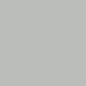 TCS1 200920GC20IVORY20MIST.jpg