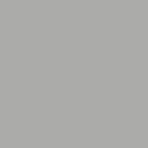 TCS1 202220GC20STONE20TAUPE.jpg