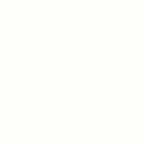 TCS1 202320WC20ARCTIC20WHITE.jpg