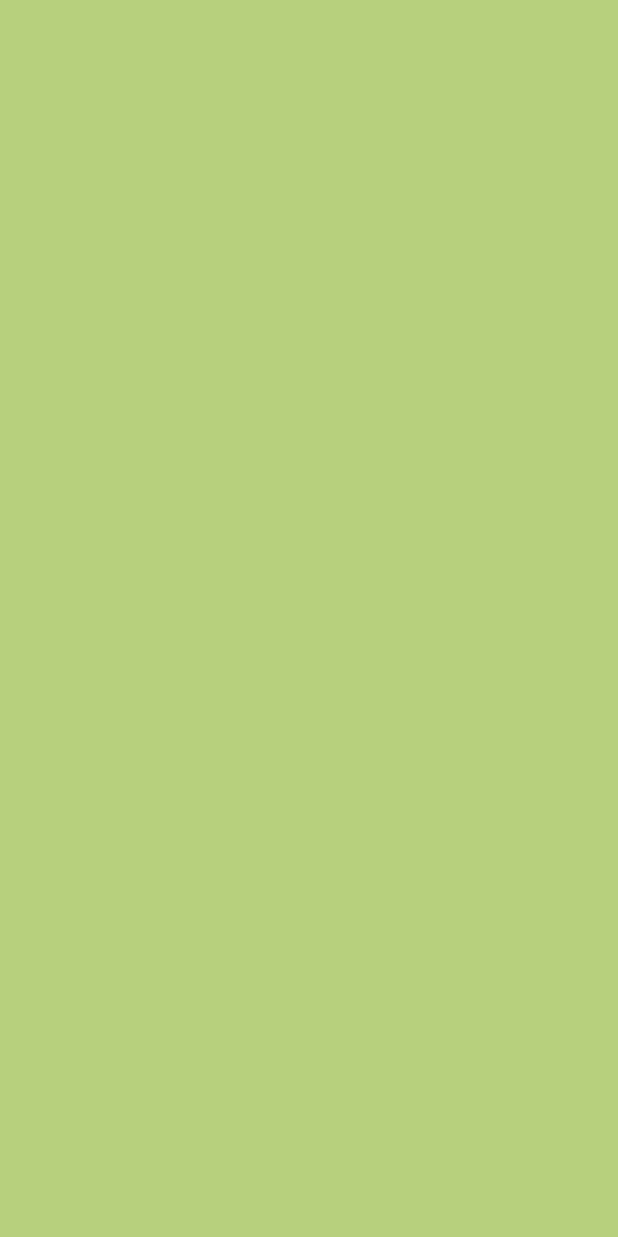 TCS1 202620YC20LIME20GREEN.jpg