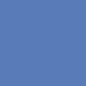 TCS1 202920GC20BLUE20FINCH.jpg