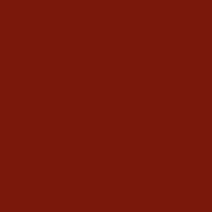 TCS1 203720BC20RUSTY20ORANGE.jpg