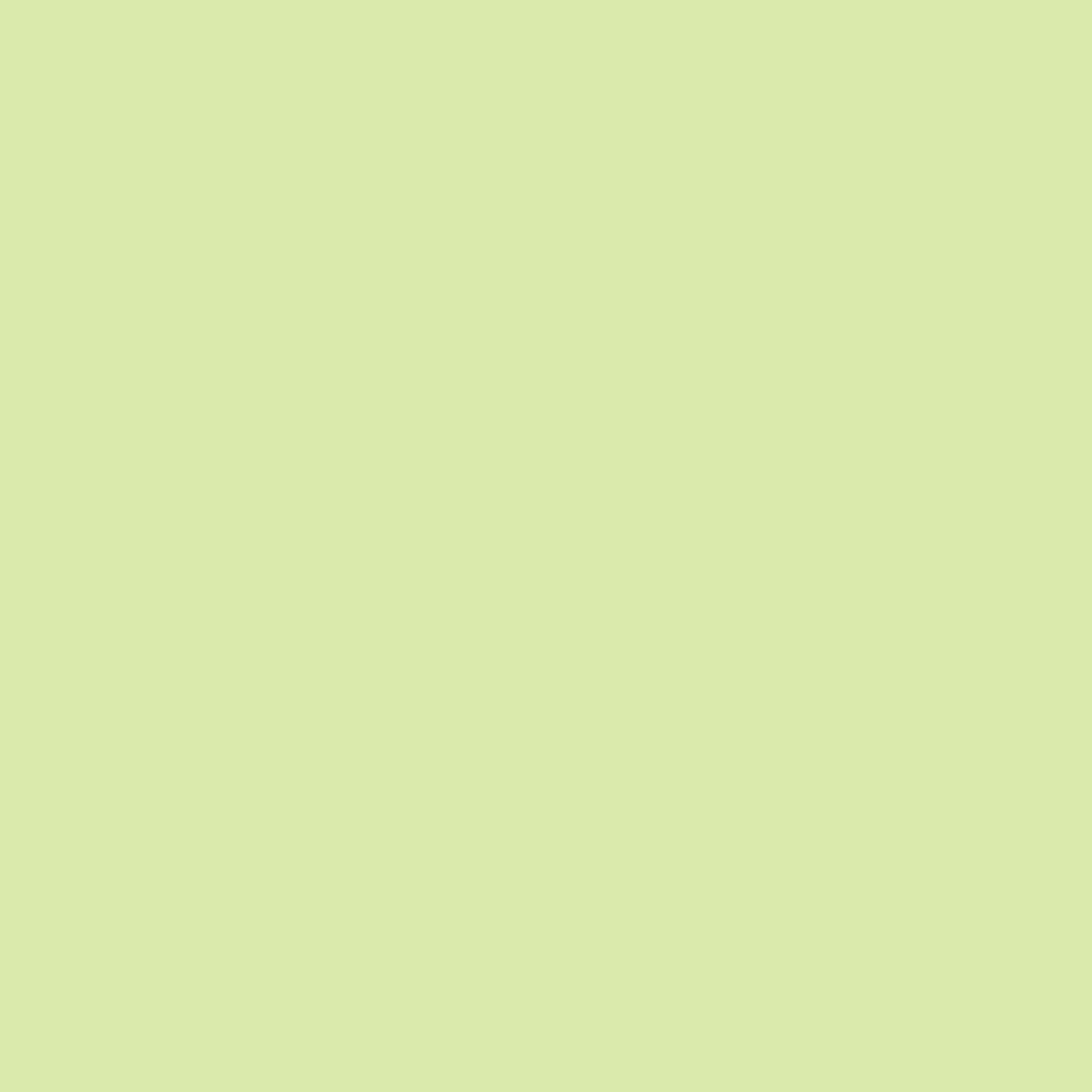 TCS2 5202620YC20LIME20GREEN.jpg