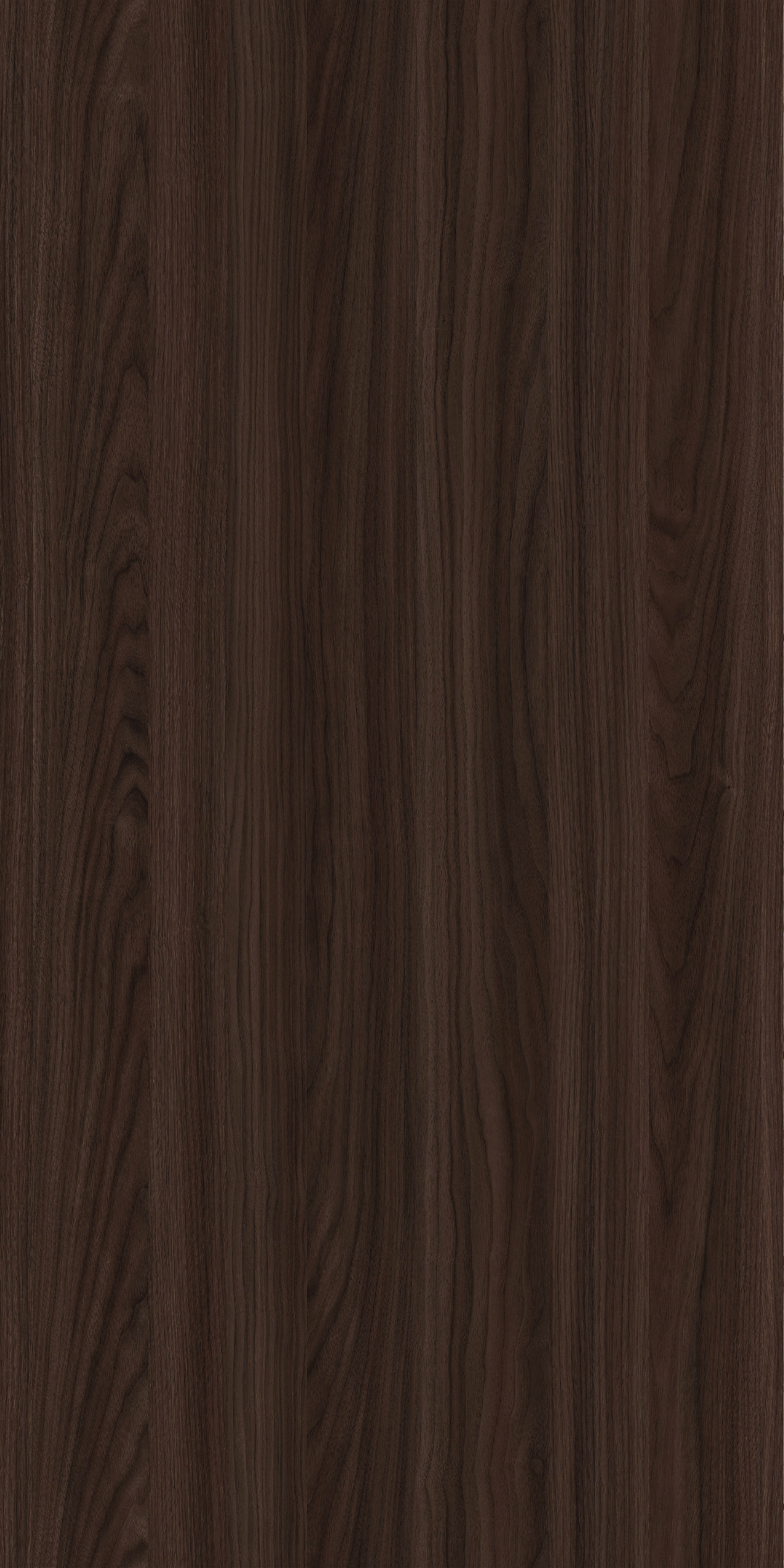 TCW1 226020BC20RUEREN20WALNUT.jpg