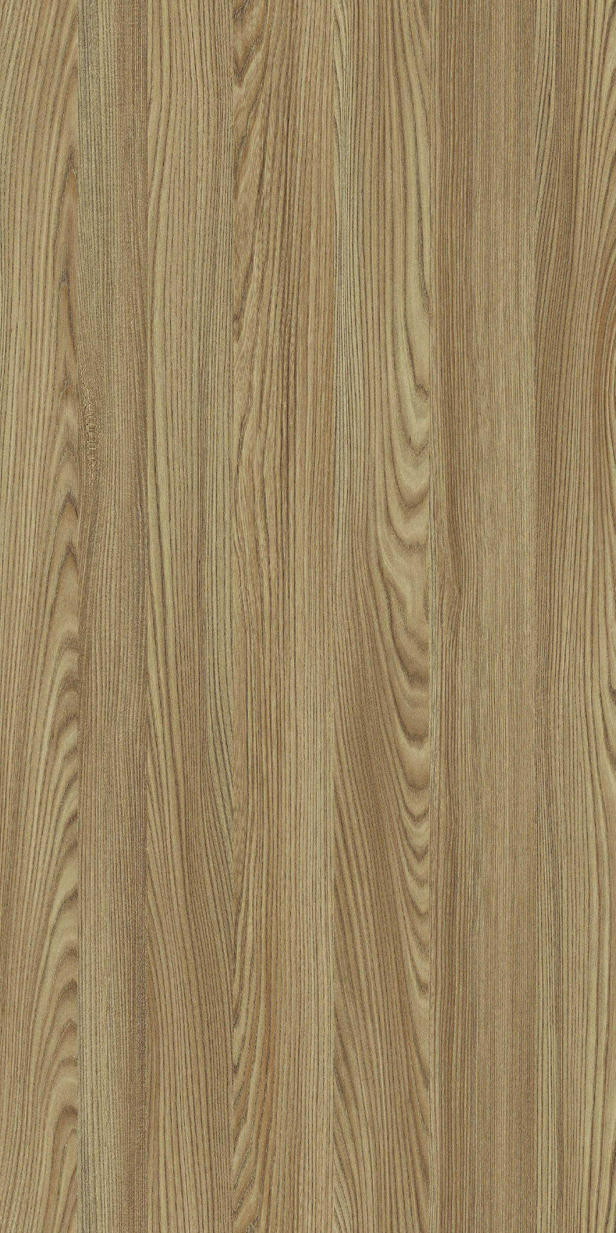 TCW1 226220BC20BREAZA20ASH.jpg