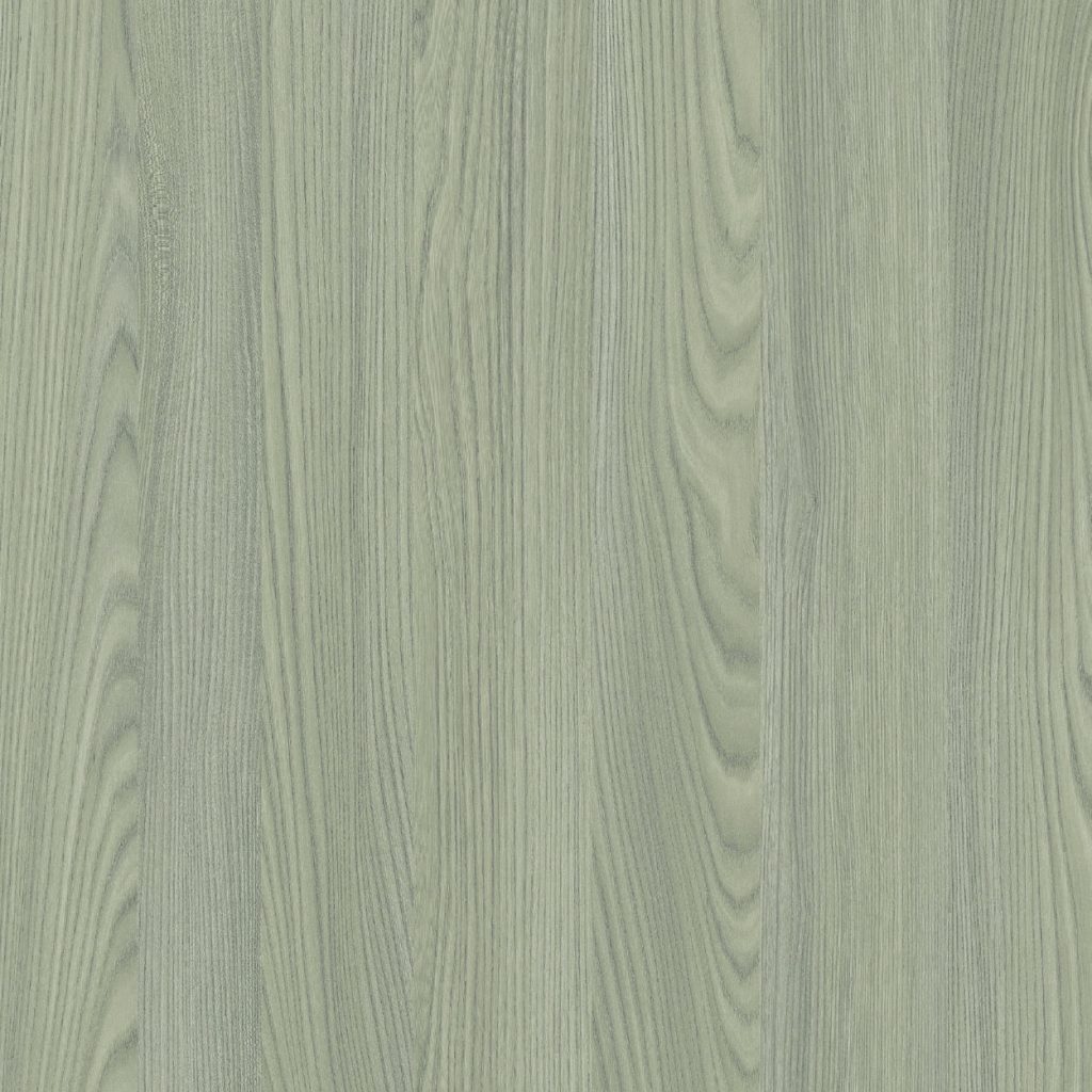 TCW1 226820GC20REGHIN20ASH.jpg